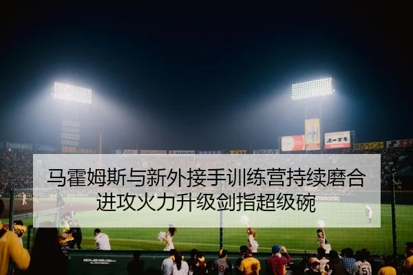 马霍姆斯与新外接手训练营持续磨合 进攻火力升级剑指超级碗